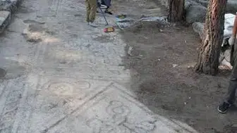 İdyros'taki otel inşaatına karşı bilimsel eleştiri:Doğal zenginlikleri koruyalım