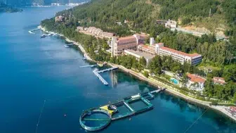 Koç Holding’in İştiraki Alman Ortaklığına Veda Etti: Yeni Sürpriz İşbirliği!