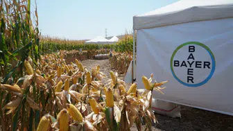BAYER, Hatay'daki Agro Arena Etkinliği'nde Mısır Üreticileriyle Buluşarak Bilgi Paylaşımında Bulundu!