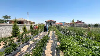 Ücretsiz Otel: Konaklama ve Yemek Ücreti Yok, Tek İstedikleri Şey Var!