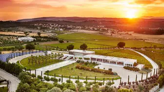 Bağların Büyüsünde Eşsiz Bir Tatil Deneyimi: Türkiye'nin En Güzel Bağ Otelleri