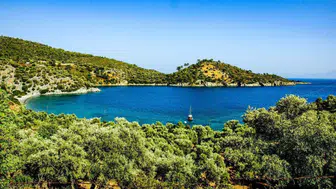 Bodrum'un Kıyılarında 175 Dönümlük Hazine Arazisi Özelleştiriliyor!