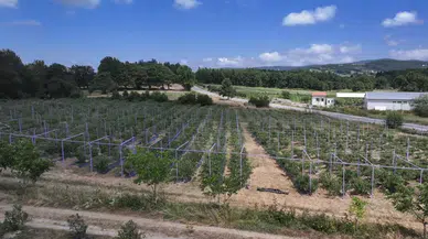 850 Metre Yükseklikte Üretilen Ürünler, İç ve Dış Pazarlar için Talep Görüyor
