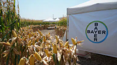 BAYER, Hatay'daki Agro Arena Etkinliği'nde Mısır Üreticileriyle Buluşarak Bilgi Paylaşımında Bulundu!