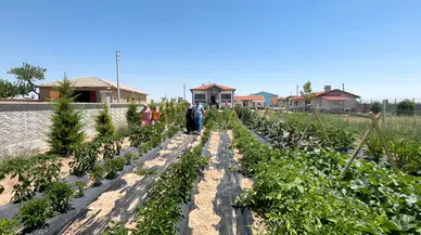 Ücretsiz Otel: Konaklama ve Yemek Ücreti Yok, Tek İstedikleri Şey Var!