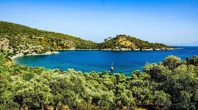 Bodrum'un Kıyılarında 175 Dönümlük Hazine Arazisi Özelleştiriliyor!