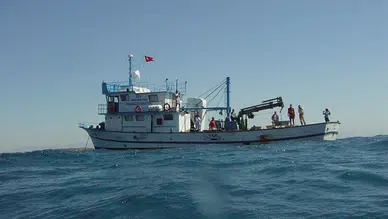 İzmir Körfezi'nde Ekosistemi Yeniden Canlandırma: Ahtapotlar İçin Yeni Barınaklar İnşa Edildi