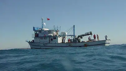 İzmir Körfezi'nde Ekosistemi Yeniden Canlandırma: Ahtapotlar İçin Yeni Barınaklar İnşa Edildi
