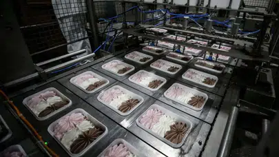 Türkiye'nin Dondurma İhracatı ve Küresel Pazar Durumu