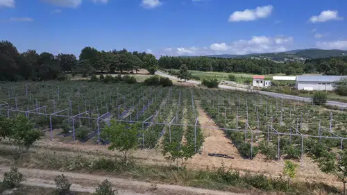 850 Metre Yükseklikte Üretilen Ürünler, İç ve Dış Pazarlar için Talep Görüyor