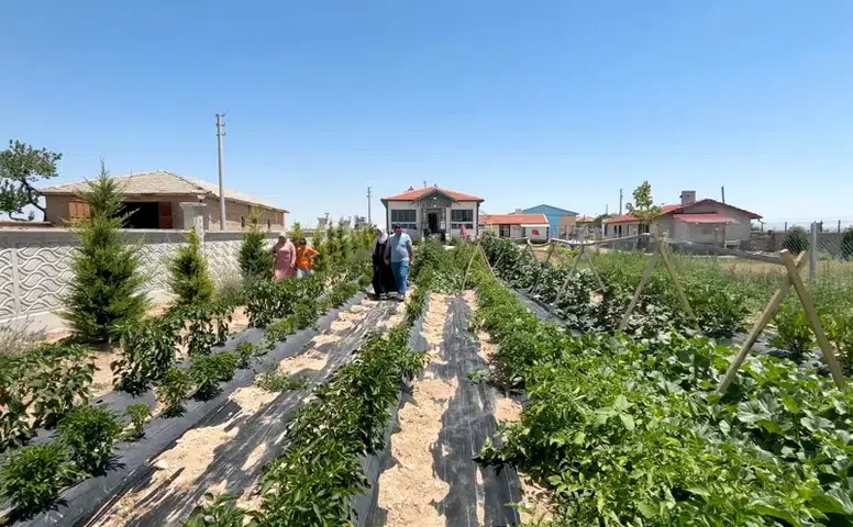 Ücretsiz Otel: Konaklama ve Yemek Ücreti Yok, Tek İstedikleri Şey Var!